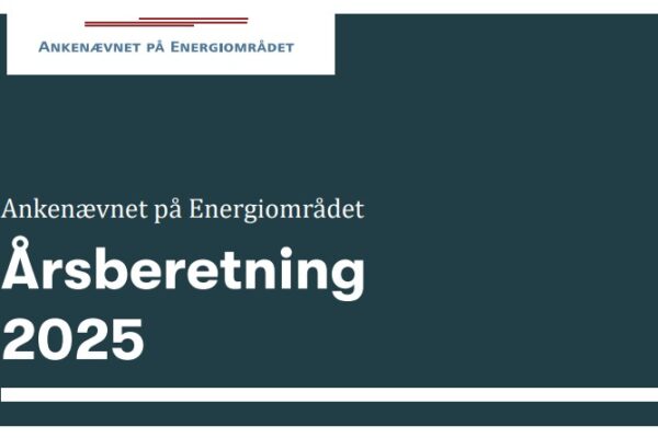 Rekordmange klager over elselskaber: 452 sager i 2025