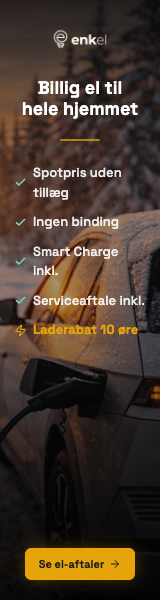 Enkel